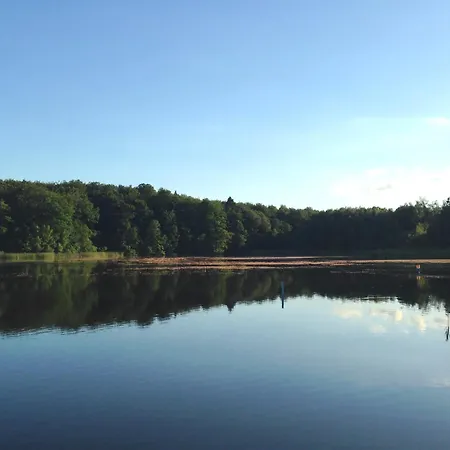 Alexandra Am Wald 아파트 바트사흐사