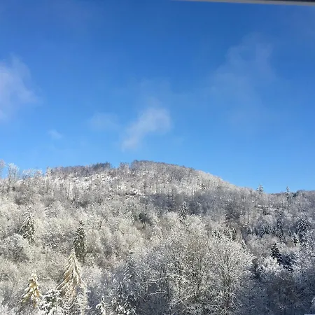 Alexandra Am Wald 아파트 *